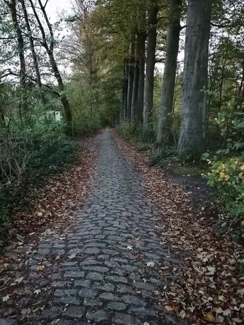 De Louvain-la-Neuve Kamer