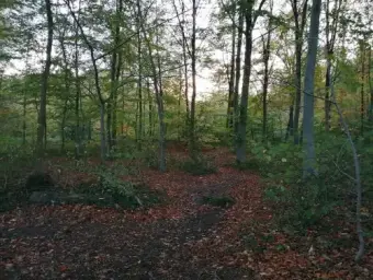 De Louvain-la-Neuve Kamer