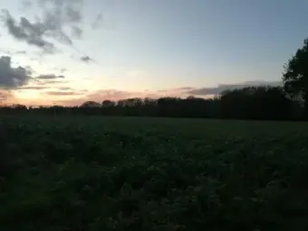De Louvain-la-Neuve Kamer